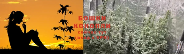 СК Медвежьегорск