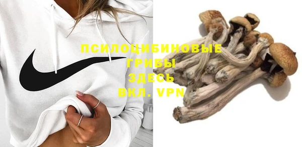 герыч Медногорск