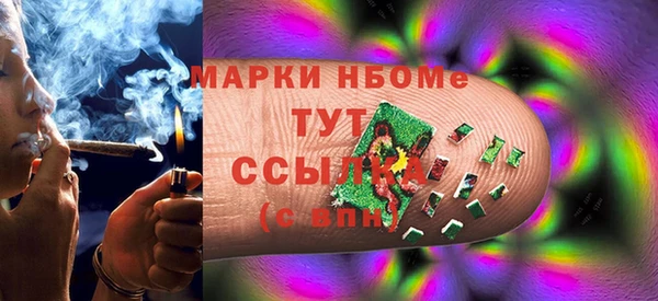 СК Медвежьегорск