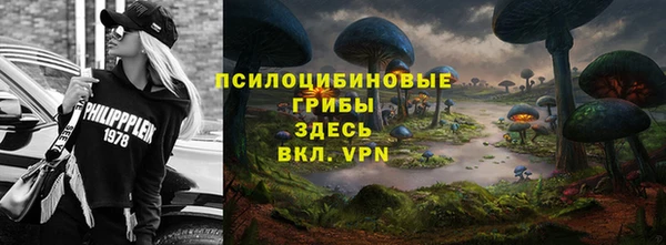 герыч Медногорск